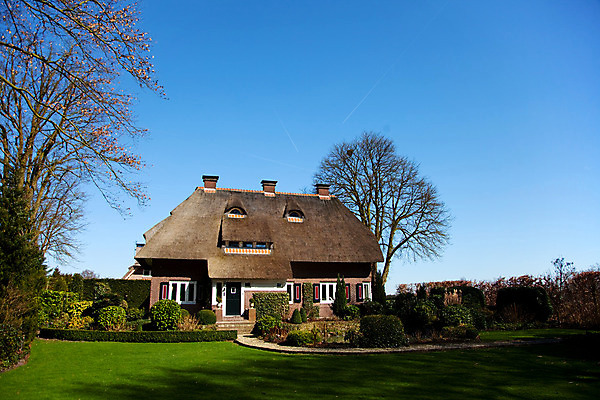 포토 JPG 해외이미지 나무 외관 건축양식 자연 풍경 사람없음 야외 정원 맑음 봄 빌라 네덜란드 해외202004 해외포토 식물 계절 건축 유럽 날씨 주택 생태계 파일형식 이미지허브