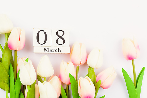 포토 JPG 해외이미지 식물 꽃 분홍색 꽃다발 백그라운드 컨셉 꽃무늬 자연 엄마 휴가 프레임 발렌타인데이 사랑 사람없음 장식 초록색 봄 튤립 흰색 축하 인사 신선 플랫 정상 배열 흰배경 머리위 위치 내추럴 구성 카피스페이스 해외202004 해외포토 계절 감정 컬러 무늬 가족 데이이벤트 공백 예절 생태계 파일형식 이미지허브