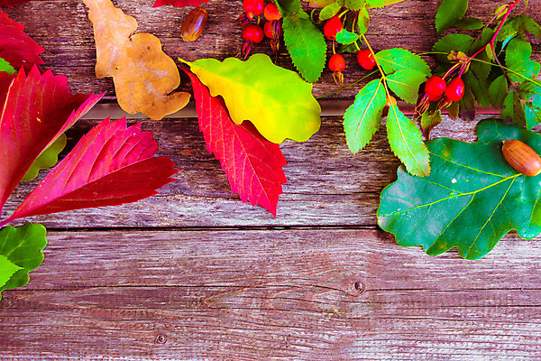 포토 JPG 해외이미지 식물 옷 공원 열매 꽃 어린이 음식 분홍색 신발 잎 크리스마스 2 벤치 과일 자연 포도 새로움 부츠 건강 사람없음 목재 장식 빨간색 초록색 장미 갈색 유행 산책 가을 흰색 아기 신선 쌍 샌들 가죽 다발 오브젝트 고무 내추럴 고립 숙성 양발 총각무 스타일 해외202004 해외포토 나무 계절 공공시설 기념일 컬러 컨셉 의자 재료 휴식 사람 무 생태계 파일형식 이미지허브