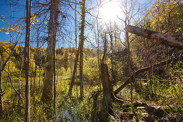 포토 JPG 해외이미지 나무 공원 유럽 호수 자연 파노라마 국립공원 풍경 사람없음 목재 초록색 물 파란색 강 컬러풀 태양 여행객 환경 골짜기 계곡 놀람 흐름 가을 황무지 숲 열대우림 크로아티아 내추럴 터키석 해외202004 해외포토 자연요소 식물 계절 공공시설 감정 나라 컬러 컨셉 재료 촬영기법 표정 사람 보석 생태계 파일형식 이미지허브