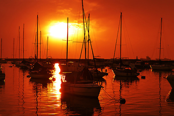 포토 JPG 해외이미지 실루엣 아시아 모래 파도 바다 여행 백그라운드 요트 오렌지 자연 하늘 날씨 휴가 풍경 사람없음 빨간색 물 여름 빛 컬러풀 햇빛 태양 반사 노란색 평화 일출 맑음 황혼 일몰 새벽 보트 황금 휴양지 수평선 해외202004 해외포토 자연요소 계절 나라 컬러 컨셉 배_교통 과일 촬영기법 노을 장소 생태계 파일형식 이미지허브