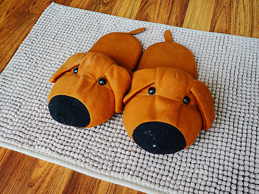 포토 JPG 해외이미지 옷 여행 백그라운드 신발 2 가정 호텔 슬리퍼 주택 따뜻함 사람없음 갈색 흰색 쌍 우아함 개 오브젝트 부드러움 솜털 고립 양발 취침시간 해외202004 해외포토 컬러 컨셉 포유류 숙소 건물 감각 파일형식 이미지허브