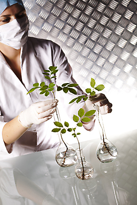 포토 JPG 해외이미지 식물 여자 실내 실험 마스크 한명 들기 상반신 성인 앞모습 액체 화학 실험실 과학자 플라스크 흰배경 비커 화학실험 성인여자한명만 해외202004 해외포토 직업 1 뷰포인트 과학 백그라운드 모션 실험기구 사람 내부 흰색 학자 여자한명만 성인여자만 파일형식 이미지허브