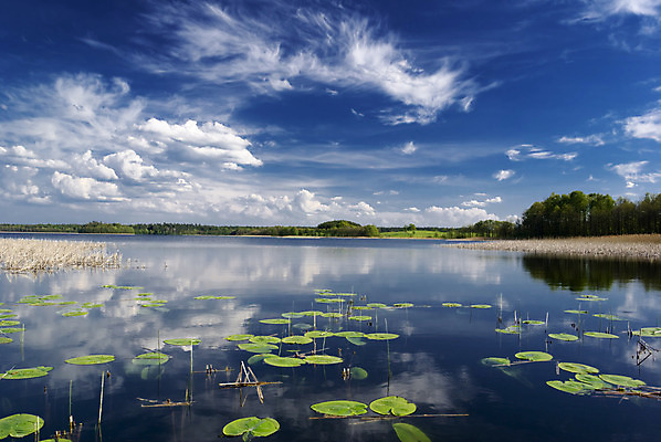 포토 JPG 해외이미지 구름 호수 자연 하늘 풍경 사람없음 물 여름 파란색 햇빛 반사 봄 백합 폴란드 수평선 해외202004 해외포토 자연요소 계절 꽃 유럽 컬러 태양 생태계 파일형식 이미지허브