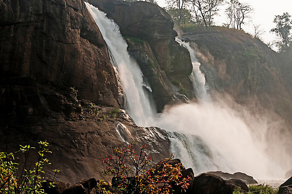 포토 JPG 해외이미지 계절 공원 잎 자연 풍경 사람없음 야외 초록색 물 여름 빛 강 햇빛 태양 평화 환경 봄 폭포 젖음 흐름 가을 바위 신선 개울 떨어짐 숲 내추럴 보헤미아 케랄라주 파라다이스 해외202004 해외포토 자연요소 식물 공공시설 컬러 컨셉 돌_바위 인도_나라 생태계 파일형식 이미지허브