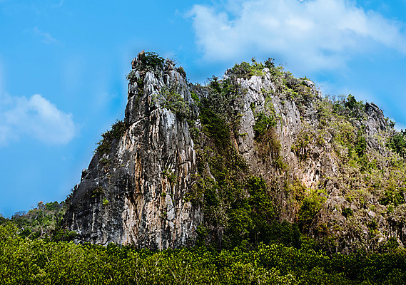 포토 JPG 해외이미지 구름 외관 오렌지 아프리카 자연 하늘 아침 불꽃 산 파노라마 풍경 사람없음 야외 가로 빨간색 빛 태양 갈색 노란색 일출 맑음 새벽 언덕 탄자니아 수평선 소멸 해외202004 해외포토 주간 자연요소 나라 컬러 과일 불 날씨 촬영기법 노을 생태계 파일형식 이미지허브
