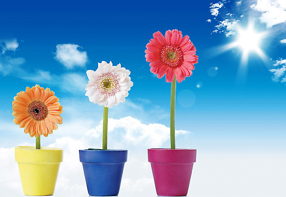 포토 JPG 해외이미지 나무 식물 구름 계절 꽃 호수 꽃다발 백그라운드 잎 꽃무늬 밭 자연 하늘 날씨 추상 부활절 사람없음 야외 초록색 물 여름 파란색 빛 강 컬러풀 태양 반사 환경 정원 봄 성장 나뭇가지 신선 숲 꽃집 유기농 원예 고립 해외202004 해외포토 자연요소 웰빙 기념일 컬러 무늬 농업 취미 상점 생태계 파일형식 이미지허브