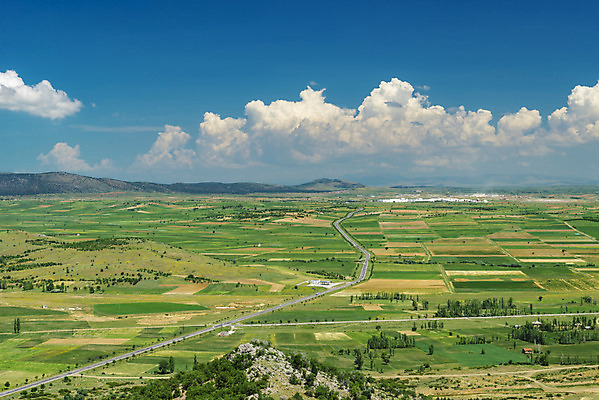 포토 JPG 해외이미지 산업 농업 자연 미래 사람없음 농작물 농장 노란색 시골 오픈 밀 질감 지역 해외202004 해외포토 컬러 컨셉 곡류 생태계 파일형식 이미지허브