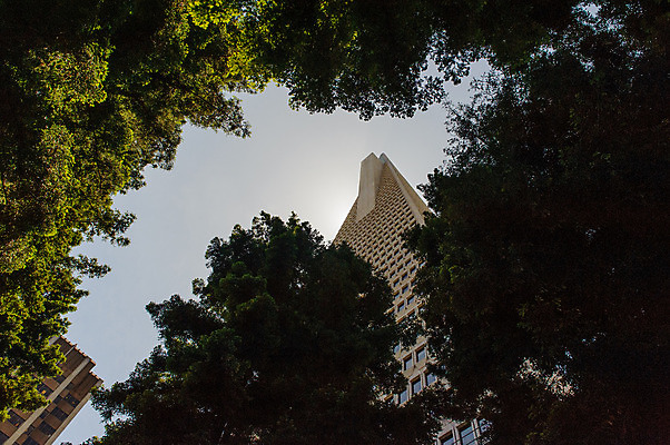 포토 JPG 해외이미지 공원 창문 하늘 사람없음 고층빌딩 샌프란시스코 해외202004 해외포토 공공시설 빌딩 파일형식 이미지허브