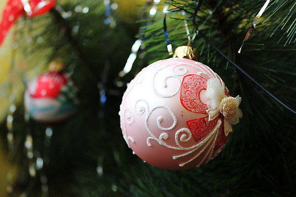 포토 JPG 해외이미지 식물 전통 계절 행복 문화 잎 크리스마스 겨울 패턴 자연 휴가 휴식 새로움 새해 사람없음 목재 장식 초록색 장난감 추위 덮개 나뭇가지 축하 신선 숲 12월 연도 오브젝트 상록수 침엽수 원뿔 여의주 가문비나무 해외202004 해외포토 도형 나무 기념일 감정 컬러 컨셉 무늬 재료 뚜껑 날짜 생태계 파일형식 이미지허브