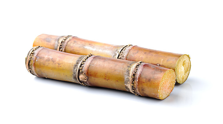 포토 JPG 해외이미지 식물 산업 음료 음식 줄기 백그라운드 농업 자연 지팡이 건강 사람없음 초록색 주스 흰색 신선 달콤 설탕 자르기 먹기 질감 고립 사탕수수 해외202004 해외포토 컬러 모션 맛 생태계 파일형식 이미지허브