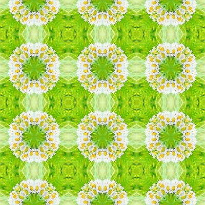 포토 JPG 해외이미지 모양 식물 디자인 꽃 백그라운드 꽃무늬 패턴 자연 벽지 추상 미술 사람없음 장식 초록색 노란색 수확 흰색 직물 원형 심볼 질감 복고 데이지 스타일 해외202004 해외포토 도형 컬러 무늬 농업 문화예술 생태계 파일형식 이미지허브