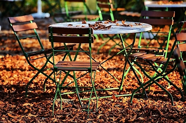 포토 JPG 해외이미지 단풍 잎 의자 탁자 따뜻함 그림자 사람없음 빨간색 초록색 태양 갈색 식당 정원 가을 그늘 해외202004 해외포토 자연요소 식물 계절 컬러 가구 상점 파일형식 이미지허브