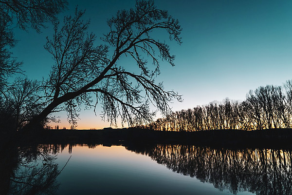 포토 JPG 해외이미지 나무 구름 계절 실루엣 호수 바다 백그라운드 오렌지 자연 벽지 하늘 날씨 풍경 사람없음 야외 물 여름 파란색 빛 강 컬러풀 햇빛 태양 반사 노란색 일출 맑음 어둠 침묵 황혼 일몰 새벽 안개 가을 황금 숲 장면 내추럴 수평선 해외202004 해외포토 자연요소 식물 컬러 과일 촬영기법 노을 소리 생태계 파일형식 이미지허브