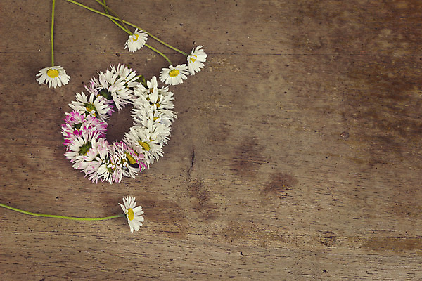 포토 JPG 해외이미지 식물 라이프스타일 꽃잎 꽃 백그라운드 꽃무늬 패턴 자연 왕관 사람없음 장식 화환 봄 추위 흰색 원형 배열 향수 데이지 짜임 엮은 조언 해외202004 해외포토 도형 계절 컬러 무늬 생활 화장품 생태계 파일형식 이미지허브
