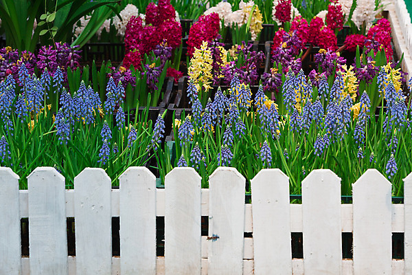 포토 JPG 해외이미지 디자인 외관 꽃 자연 주택 풍경 잔디 사람없음 야외 장식 초록색 여름 평화 정원 침묵 매력적 벚꽃 바위 백합 원예 조경 화단 내추럴 영원 원예사 해외202004 해외포토 식물 직업 계절 컬러 컨셉 취미 건물 소리 돌_바위 생태계 파일형식 이미지허브