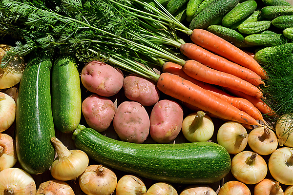 포토 JPG 해외이미지 웰빙 채소 양파 오이 감자 사람없음 당근 신선 유기농 애호박 해외202004 해외포토 호박 뿌리채소 파일형식 이미지허브