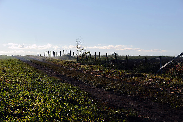 포토 JPG 해외이미지 식물 밭 농업 자연 하늘 아침 풍경 사람없음 초록색 여름 파란색 농작물 울타리 햇빛 농장 성장 시골 이슬 땅 해외202004 해외포토 주간 계절 산업 컬러 담장 태양 생태계 파일형식 이미지허브