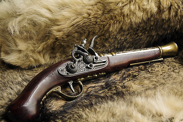 포토 JPG 해외이미지 무기 백그라운드 패턴 자연 표면 추상 털 미술 사람없음 장식 검은색 회색 총 화려 고급 피부 질감 복고 늑대 스타일 해외202004 해외포토 컬러 컨셉 무늬 포유류 문화예술 신체부위 생태계 파일형식 이미지허브