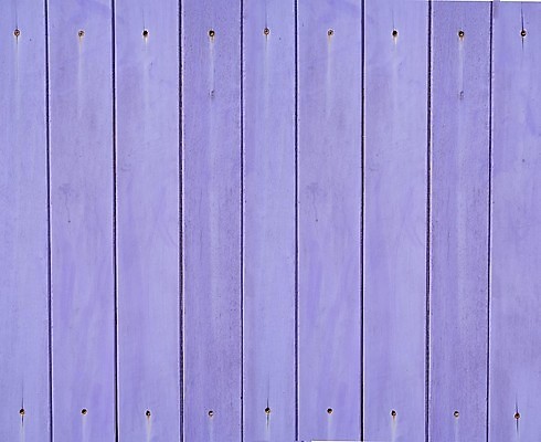 포토 JPG 해외이미지 디자인 벽 분홍색 백그라운드 패턴 벽지 표면 프레임 사람없음 건물 목재 장식 여름 우주 보라색 공백 시골 판넬 그리기 가득함 질감 잡동사니 라일락 내추럴 수목 스타일 카피스페이스 해외202004 해외포토 나무 건축물 계절 꽃 컬러 무늬 재료 모션 파일형식 이미지허브