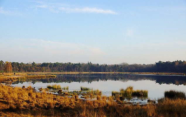포토 JPG 해외이미지 나무 계절 공원 호수 백그라운드 자연 풍경 사람없음 목재 초록색 물 빛 반사 환경 가을 황무지 숲 네덜란드 장면 내추럴 해외202004 해외포토 자연요소 식물 공공시설 유럽 컬러 재료 생태계 파일형식 이미지허브
