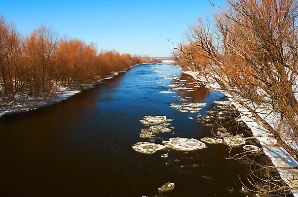포토 JPG 해외이미지 나무 계절 공원 여행 겨울 모션 하늘 아침 날씨 파노라마 풍경 사람없음 야외 목재 강 반사 냉동 얼음 추위 흰색 시골 개울 강가 12월 서리 내추럴 깊이 눈내림 해외202004 해외포토 주간 자연요소 식물 공공시설 컬러 재료 눈_날씨 촬영기법 날짜 파일형식 이미지허브