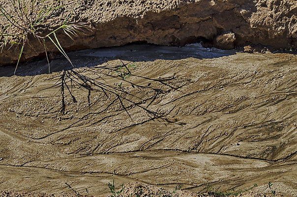 포토 JPG 해외이미지 식물 외관 지구 백그라운드 패턴 밭 자연 날씨 건조 사람없음 야외 가로 여름 글로벌 환경 흙 뜨거움 균열 땅 홍수 그림 질감 내추럴 불가리아 생태학 지질학 화상 해외202004 해외포토 계절 교육 무늬 농업 모션 상처 자연재해 생태계 파일형식 남유럽 이미지허브