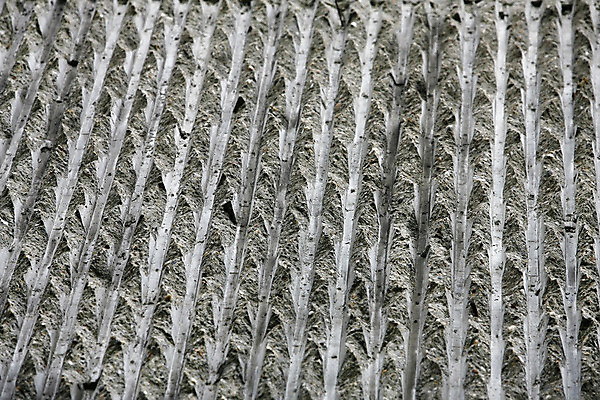 포토 JPG 해외이미지 외관 벽 백그라운드 패턴 포장 건축양식 자연 날씨 추상 벽돌 주택 돌담 사람없음 야외 갈색 쌓기 힘 블록 회색 조약돌 바위 경계선 거친 중세 덧셈 질감 과거 시멘트 강화 고체 구식 옛날 울퉁불퉁 화강암 효과 해외202004 해외포토 건축 선 컬러 컨셉 무늬 모션 건물 담장 암석 돌_바위 수학 역사 경계 생태계 파일형식 이미지허브