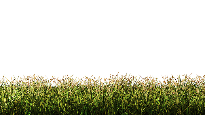 포토 JPG 해외이미지 조각 백그라운드 일러스트 자연 사람없음 옆모습 초록색 3D 흰색 흰배경 고립 해외202004 해외포토 뷰포인트 컬러 디지털합성 생태계 파일형식 이미지허브