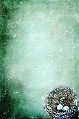 포토 JPG 해외이미지 백그라운드 컨셉 2 자연 추상 창조 미술 사람없음 세로 초록색 파란색 어둠 페인트 봄 나뭇가지 점 얼룩 막대기 둥지 혼합 심볼 그림 질감 모음 내추럴 그런지 카피스페이스 해외202004 해외포토 나무 계절 컬러 무늬 문화예술 한글 공백 생태계 파일형식 이미지허브