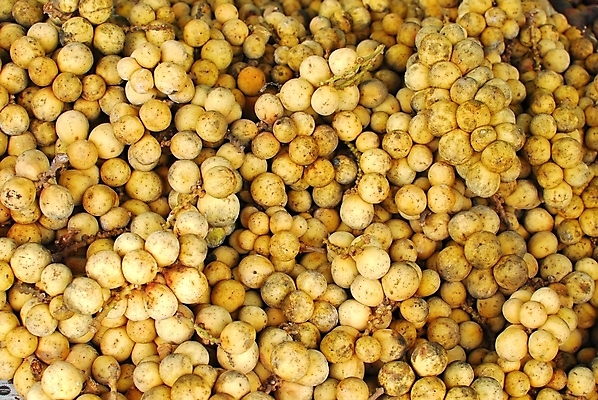 포토 JPG 해외이미지 라이프스타일 음료 음식 백그라운드 컨셉 패턴 다이어트 과일 재료 디저트 건강 사람없음 초록색 갈색 신선 질감 채식주의자 해외202004 해외포토 컬러 무늬 생활 채식 파일형식 이미지허브