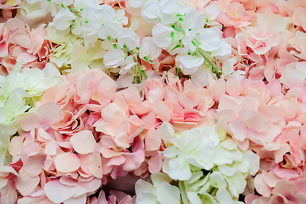 포토 JPG 해외이미지 식물 꽃잎 꽃 어린이 음식 벽 분홍색 꽃다발 백그라운드 잎 꽃무늬 오렌지 공 자연 놀이 추상 부활절 사탕 사람없음 장식 빨간색 초록색 파란색 컬러풀 장난감 장미 노란색 정원 봄 벚꽃 흰색 원형 달콤 플라스틱 설탕 카네이션 고립 작약 해외202004 해외포토 도형 계절 기념일 컬러 무늬 과일 재질 디저트 사람 맛 생태계 파일형식 이미지허브