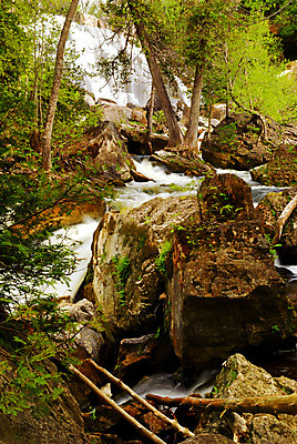 포토 JPG 해외이미지 나무 캐나다 자연 풍경 사람없음 야외 초록색 물 여름 강 환경 계곡 봄 폭포 흐름 가을 바위 흰색 개울 황무지 급류 숲 순수 속도 암초 내추럴 삼림지대 생태학 해외202004 해외포토 자연요소 식물 계절 교육 컬러 컨셉 북아메리카 돌_바위 생태계 파일형식 이미지허브