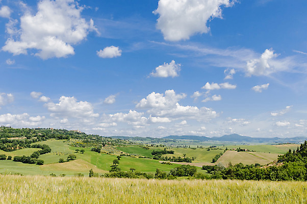 포토 JPG 해외이미지 유럽 밭 농업 자연 주택 파노라마 풍경 사람없음 야외 여름 농가 농장 갈색 노란색 평화 맑음 이탈리아 시골 땅 밀 언덕 내추럴 토스카나 해외202004 해외포토 계절 나라 산업 컬러 컨셉 날씨 곡류 촬영기법 건물 생태계 파일형식 이미지허브