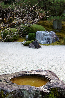 포토 JPG 해외이미지 나무 1 자연 사람없음 야외 세로 초록색 물 갈색 일본 침묵 회색 가을 바위 나뭇가지 연못 받침대 벌거벗은 해외202004 해외포토 자연요소 식물 계절 아시아 컬러 소리 돌_바위 생태계 파일형식 이미지허브