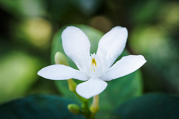 포토 JPG 해외이미지 물결 백그라운드 창문 자동차 자연 유리 표면 추상 사람없음 물 파란색 환경 젖음 흐름 물방울 신선 액체 닫기 떨어짐 수분 질감 세련 해외202004 해외포토 자연요소 육상교통 컬러 컨셉 무늬 모션 재질 생태계 파일형식 이미지허브