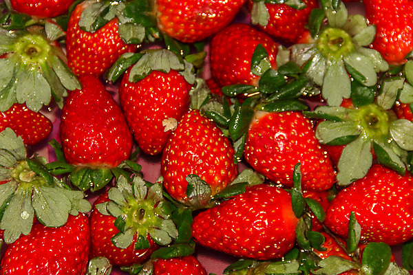 포토 JPG 해외이미지 라이프스타일 접시 열매 음식 백그라운드 잎 농업 과일 자연 딸기 디저트 쟁반 건강 사람없음 목재 빨간색 초록색 여름 상자 세일 식사 봄 수확 신선 그룹 사발 시장 달콤 맛 아침식사 상쾌 유기농 날것 내추럴 돌봄 숙성 완벽 해외202004 해외포토 나무 식물 식기 웰빙 계절 감정 산업 컬러 컨셉 재료 모션 생활 사기그릇 생태계 파일형식 이미지허브