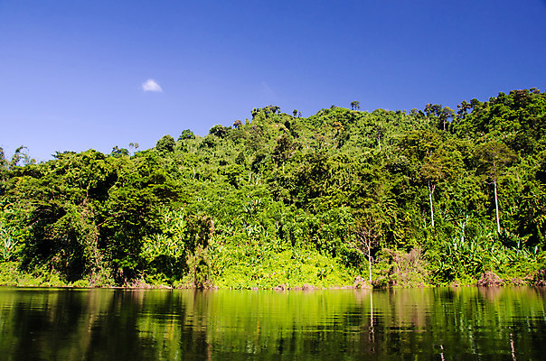 포토 JPG 해외이미지 나무 식물 공원 호수 태국 자연 하늘 표면 풍경 사람없음 야외 목재 초록색 물 여름 파란색 반사 시골 저수지 연못 신선 숲 댐 내추럴 해외202004 해외포토 자연요소 계절 공공시설 아시아 컬러 재료 생태계 파일형식 이미지허브