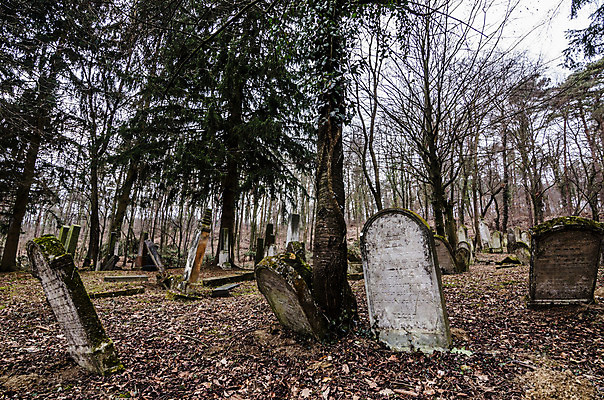 포토 JPG 해외이미지 꽃 기독교 종교 지구 백그라운드 십자가 부활절 사람없음 목재 조각상 검은색 성경 바위 기도 죽음 예수 영혼 목사 심볼 애도 신성 땅파기 신앙심 옛날 장례식 오싹 해외202004 해외포토 나무 식물 기념일 컬러 재료 종교용품 조형물 신_종교 성직자 파일형식 이미지허브