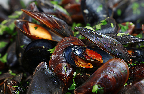 포토 JPG 해외이미지 접시 음식 부분 건강 요리 사람없음 식사 오픈 닫기 굽기 먹기 허브 해산물 각도 홍합 삶기 해외202004 해외포토 식물 식기 모션 어패류 구이 파일형식 이미지허브