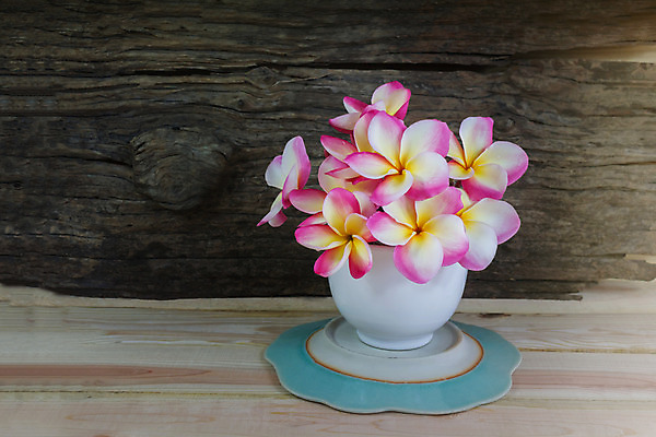 포토 JPG 해외이미지 식물 꽃 분홍색 백그라운드 꽃무늬 휴식 사람없음 목재 장식 컵 여름 평화 우주 귀여움 스파 벚꽃 명상 향기 부드러움 해외202004 해외포토 나무 식기 계절 컬러 컨셉 무늬 재료 감각 냄새 파일형식 이미지허브