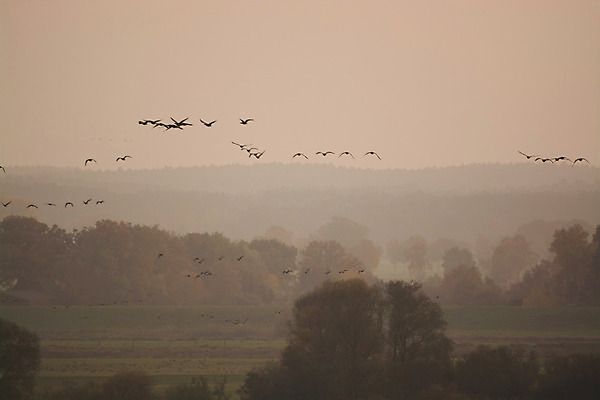 포토 JPG 해외이미지 자연 풍경 사람없음 강 계곡 새벽 가을 시골 숲 멀리 10월 내추럴 수평선 해외202004 해외포토 자연요소 계절 날짜 생태계 파일형식 이미지허브
