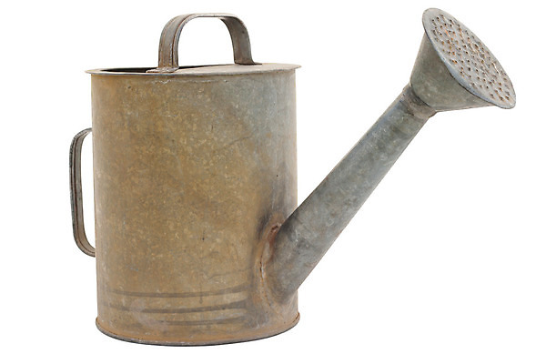 포토 JPG 해외이미지 식물 농업 장신구 가정 손잡이 사람없음 물 농장 금속 정원 장비 회색 젖음 수확 흰색 공구 시골 붓기 클래식 캔 은색 자르기 뿌리기 물주기 부식 원예 복고 분무기 통조림 고립 구식 돌봄 샤워실 옛날 원예사 공급 아연 해외202004 해외포토 자연요소 직업 산업 컬러 컨셉 모션 재질 취미 도구 샤워시설 영양소 파일형식 이미지허브