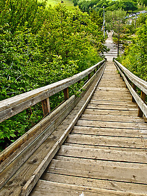 포토 JPG 해외이미지 나무 식물 계절 공원 길 잎 자연 그림자 풍경 사람없음 목재 초록색 갈색 노란색 계단 환경 봄 나뭇가지 숲 땅 단계 방법 옛날 직진 해외202004 해외포토 공공시설 컬러 재료 생태계 파일형식 이미지허브