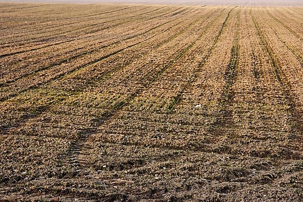 포토 JPG 해외이미지 지구 백그라운드 밭 농업 사람없음 농장 농경지 갈색 흙 젖음 만취 먼지 진흙 땅바닥 쟁기 해외202004 해외포토 산업 컬러 바닥 술취함 파일형식 이미지허브