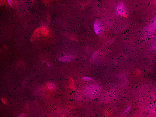 포토 JPG 해외이미지 접시 디자인 분홍색 백그라운드 유리 발렌타인데이 그림자 사랑 사람없음 빨간색 물 빛 장미 귀여움 보라색 펼침 거울 달콤 떨어짐 그늘 제비꽃 보케 부드러움 공상 타격 몽환 해외202004 해외포토 자연요소 식기 꽃 감정 컬러 컨셉 모션 데이이벤트 재질 감각 맛 파일형식 이미지허브