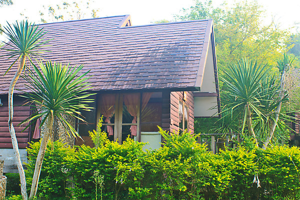 포토 JPG 해외이미지 라이프스타일 디자인 공원 꽃 의자 건축양식 창문 태국 자연 휴가 휴식 주택 사람없음 야외 건물 목재 장식 빨간색 컬러풀 문 우주 환경 정원 벚꽃 클래식 휴양지 지역 서식지 해외202004 해외포토 나무 식물 건축물 공공시설 건축 아시아 컬러 가구 컨셉 재료 생활 장소 생태계 파일형식 이미지허브