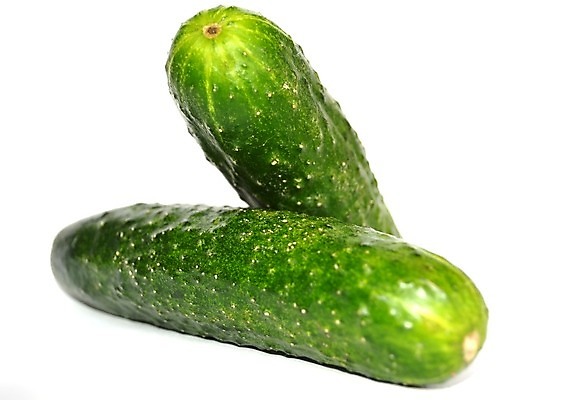 포토 JPG 해외이미지 채소 오이 사람없음 초록색 샐러드 흰색 신선 조직 호흡 굽기 허브 성분 리빙 고립 채식주의자 해외202004 해외포토 식물 음식 컬러 구이 채식 파일형식 이미지허브