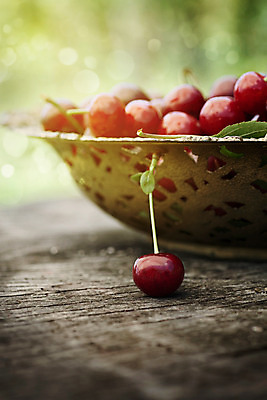 포토 JPG 해외이미지 나무 접시 열매 음식 줄기 백그라운드 잎 농업 다이어트 과일 자연 탁자 디저트 건강 사람없음 목재 빨간색 초록색 여름 정원 식사 시골 신선 체리 그룹 사발 달콤 맛 잼 먹기 유기농 날것 내추럴 과육 숙성 채식주의자 해외202004 해외포토 식물 식기 웰빙 계절 산업 컬러 가구 컨셉 재료 모션 사기그릇 소스_음식 생태계 채식 파일형식 이미지허브