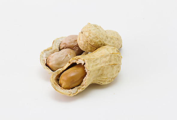 포토 JPG 해외이미지 식물 계절 음식 백그라운드 다이어트 과일 재료 자연 건조 건강 씨앗 사람없음 갈색 쌓기 견과류 껍질 흰색 신선 오픈 그룹 맛 정상 먹기 오브젝트 유기농 날것 땅콩 흙더미 내추럴 고립 꼬투리 채식주의자 해외202004 해외포토 웰빙 컬러 컨셉 모션 흙 생태계 채식 파일형식 더미 이미지허브